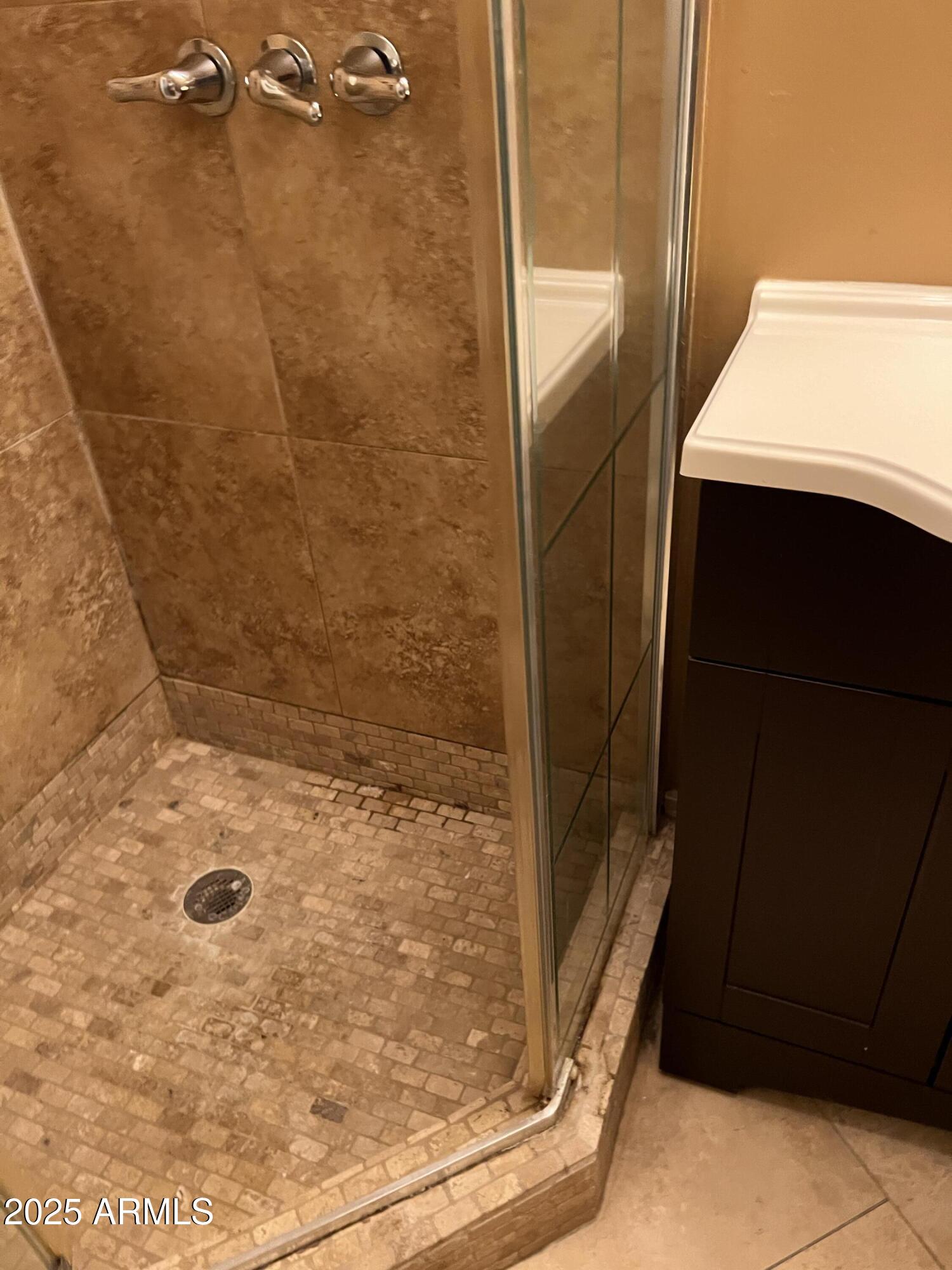 4573 South Mill Avenue Tempe, AZ 85282 - Photo 21 of 32 a bathroom with a shower