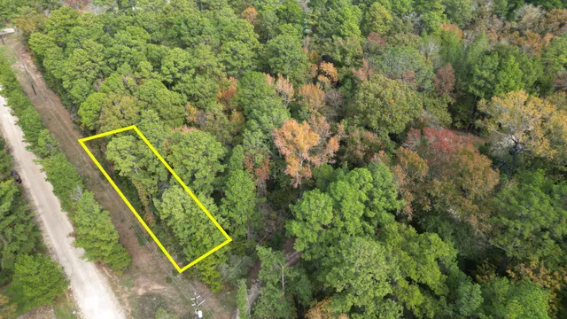 a view of park with large trees