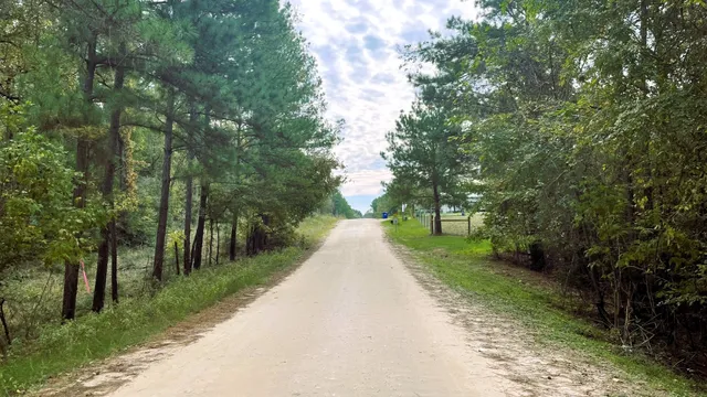 a view of backyard with green space