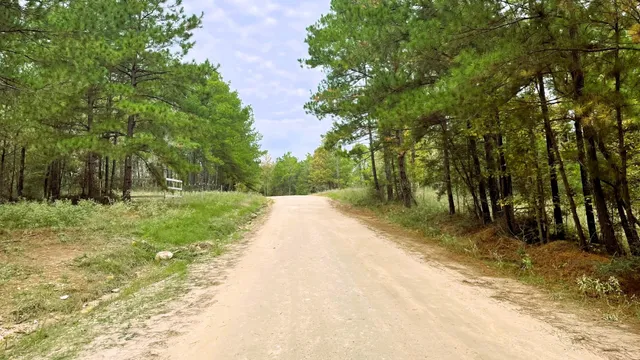 a view of a park with a tree