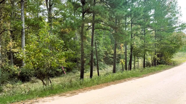 a view of a park that has large trees