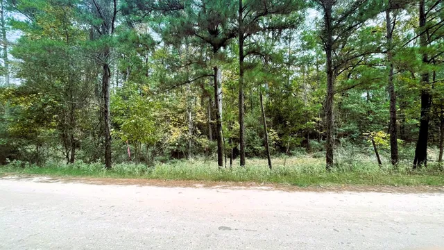 a view of a road with a trees