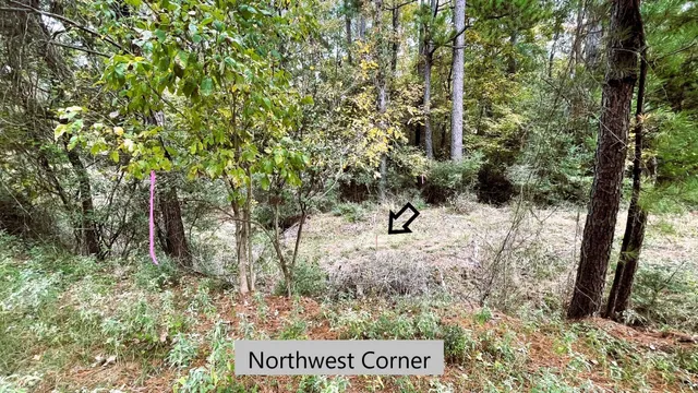 a view of an outdoor space and a yard