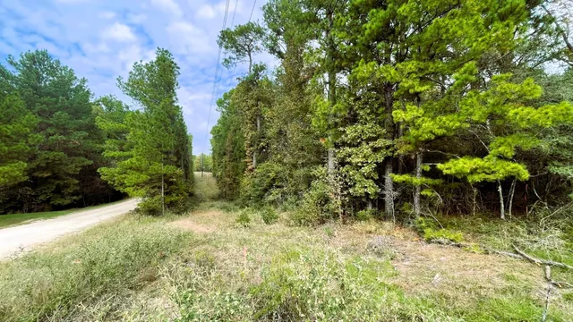 a view of city and mountain