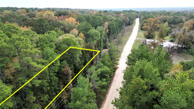 a view of a house with a plant
