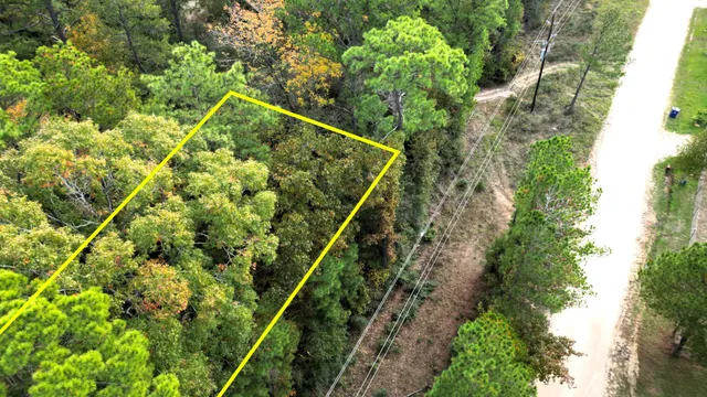 a view of a yard with plants