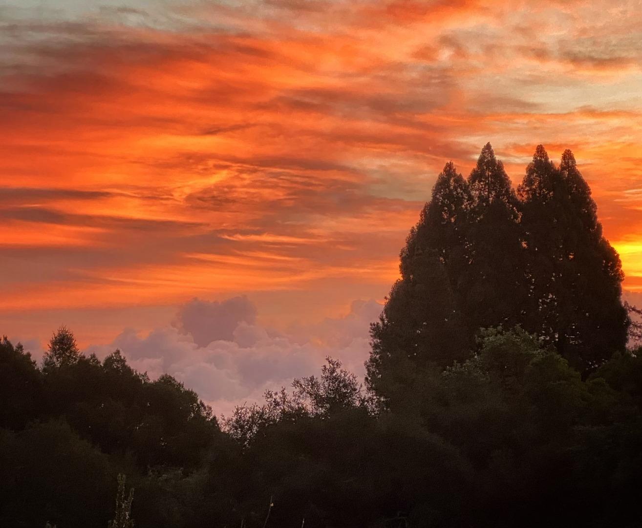 700 Enos Lane Watsonville, CA 95076 - Photo 35 of 56