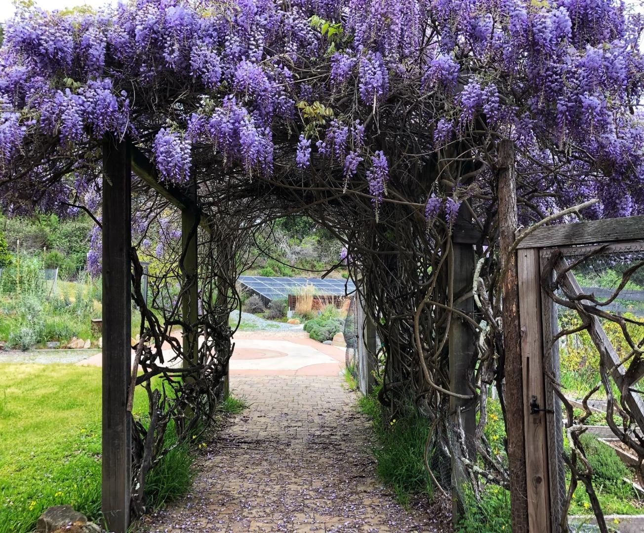 700 Enos Lane Watsonville, CA 95076 - Photo 40 of 56