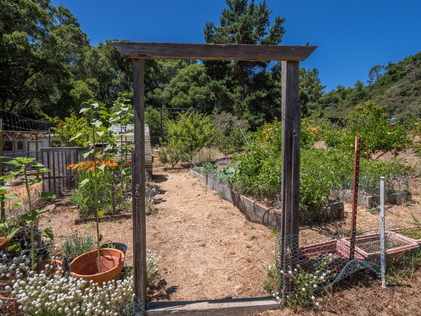 700 Enos Lane Watsonville, CA 95076 - Photo 43 of 56 a view of a backyard of the house