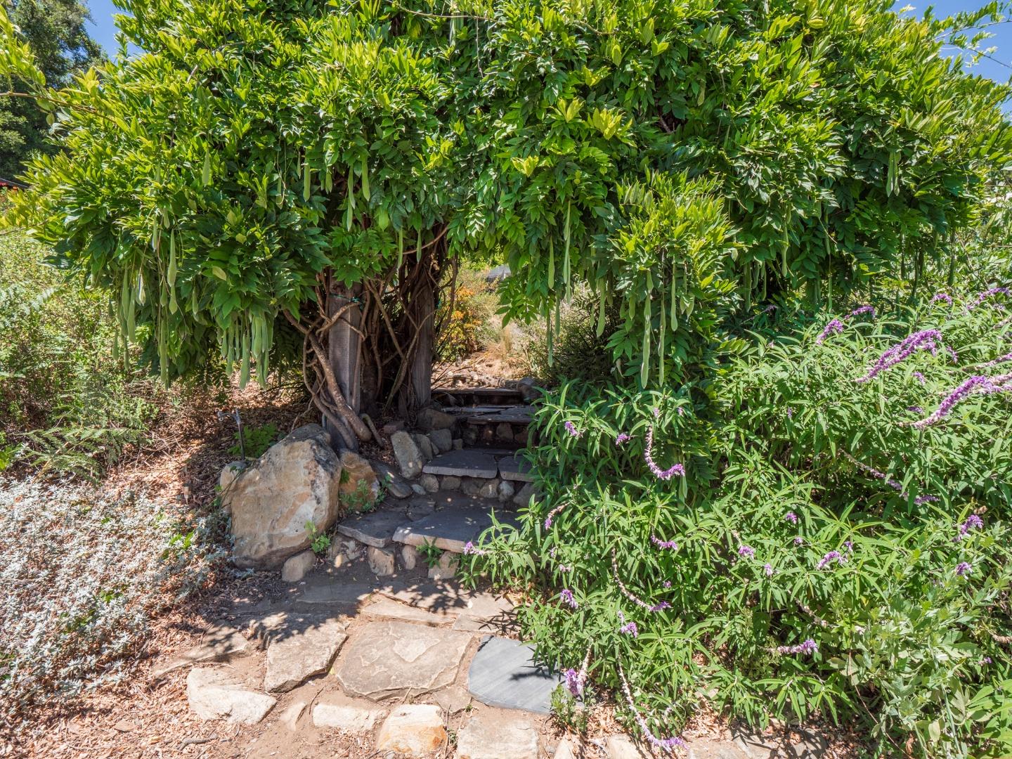 700 Enos Lane Watsonville, CA 95076 - Photo 44 of 56 a backyard of a house with lots of green space