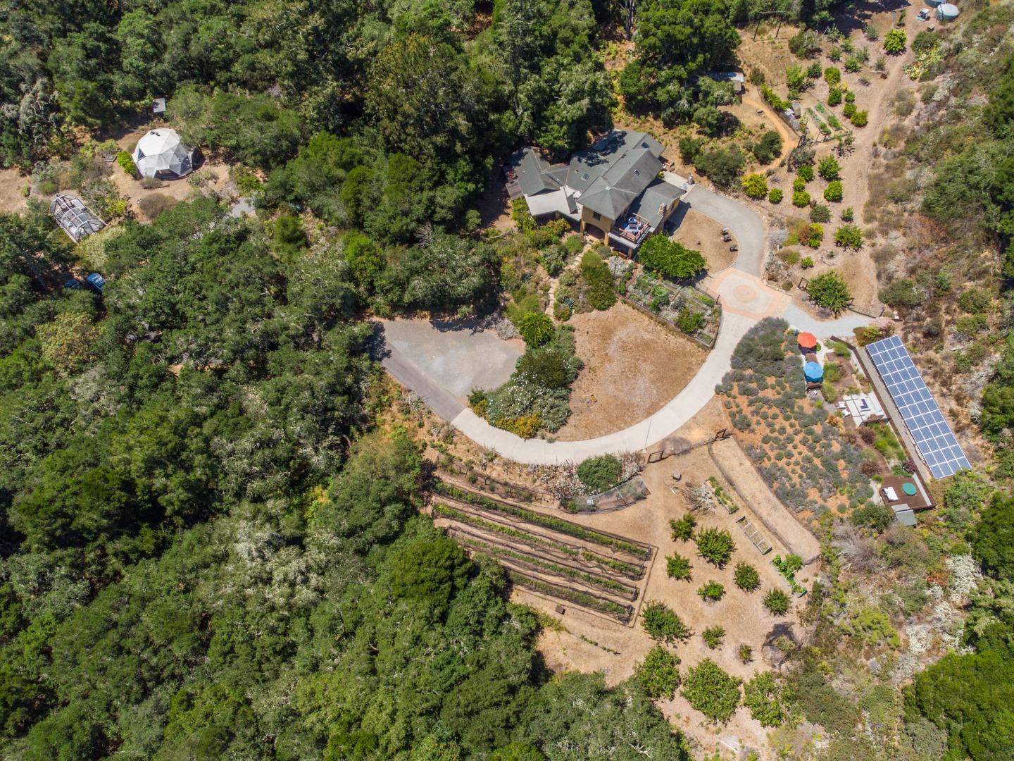 700 Enos Lane Watsonville, CA 95076 - Photo 50 of 56 a close up of a plant in a garden