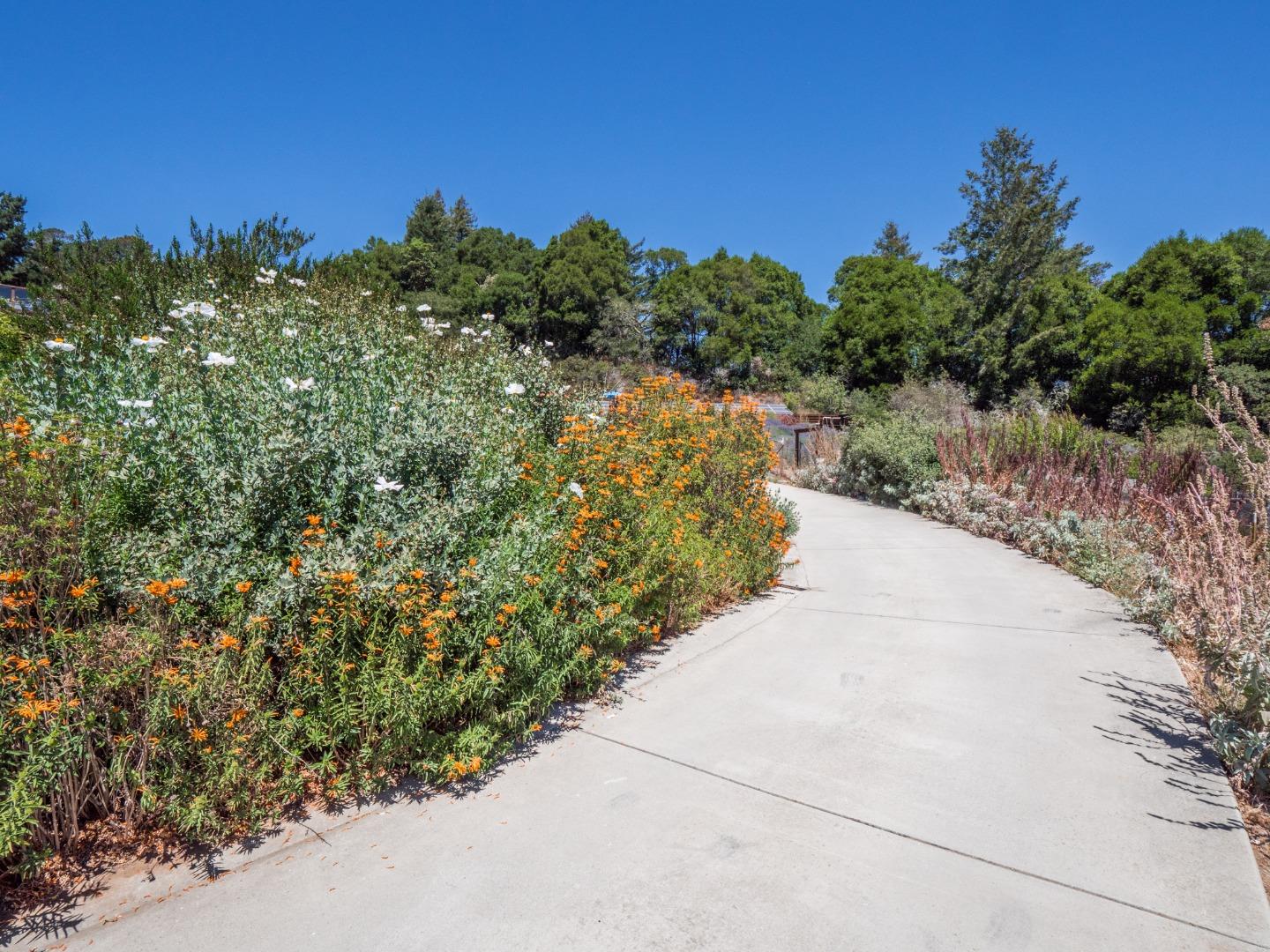 700 Enos Lane Watsonville, CA 95076 - Photo 54 of 56 a view of a pathway with a yard