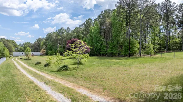 a view of a park with large trees
