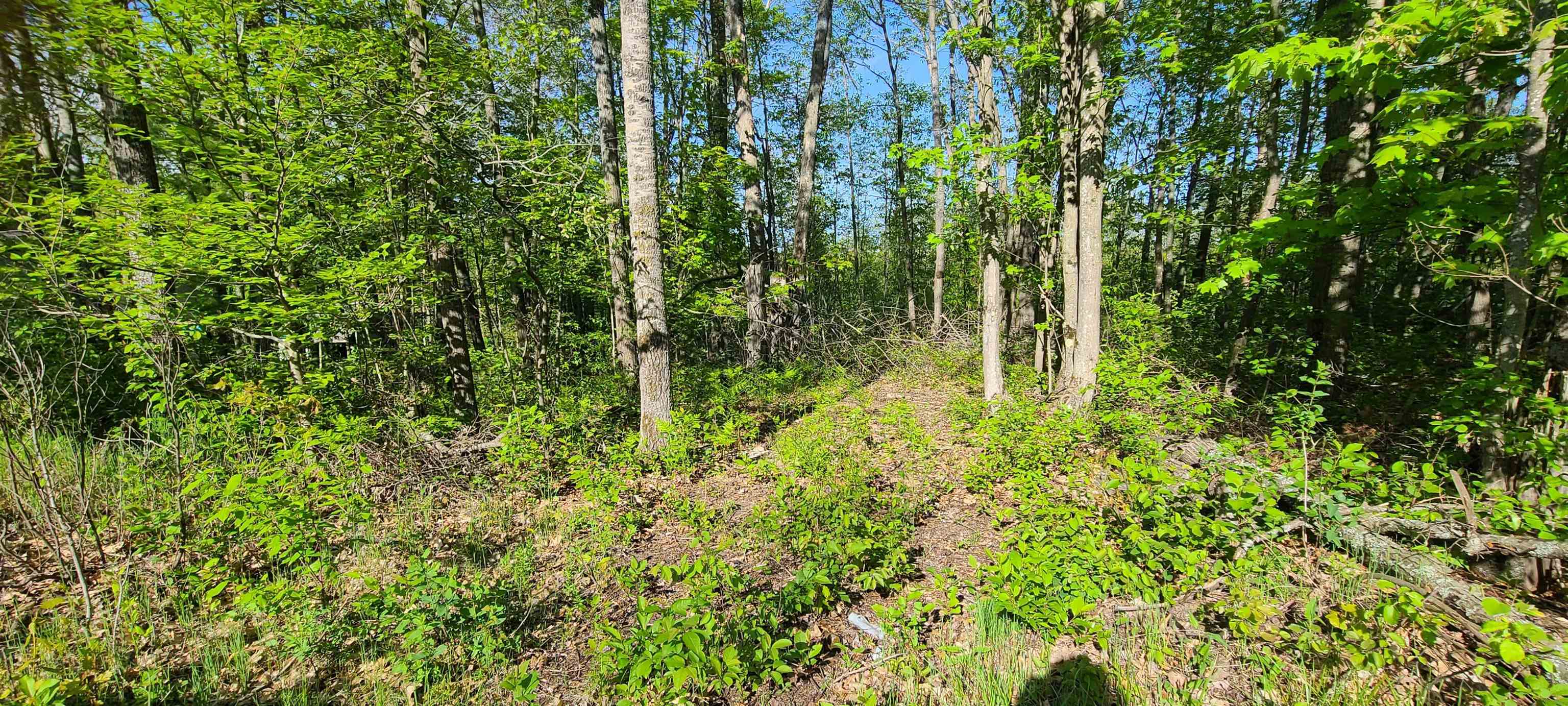 0 Montana Road Barton City, MI 48705 - Photo 2 of 6