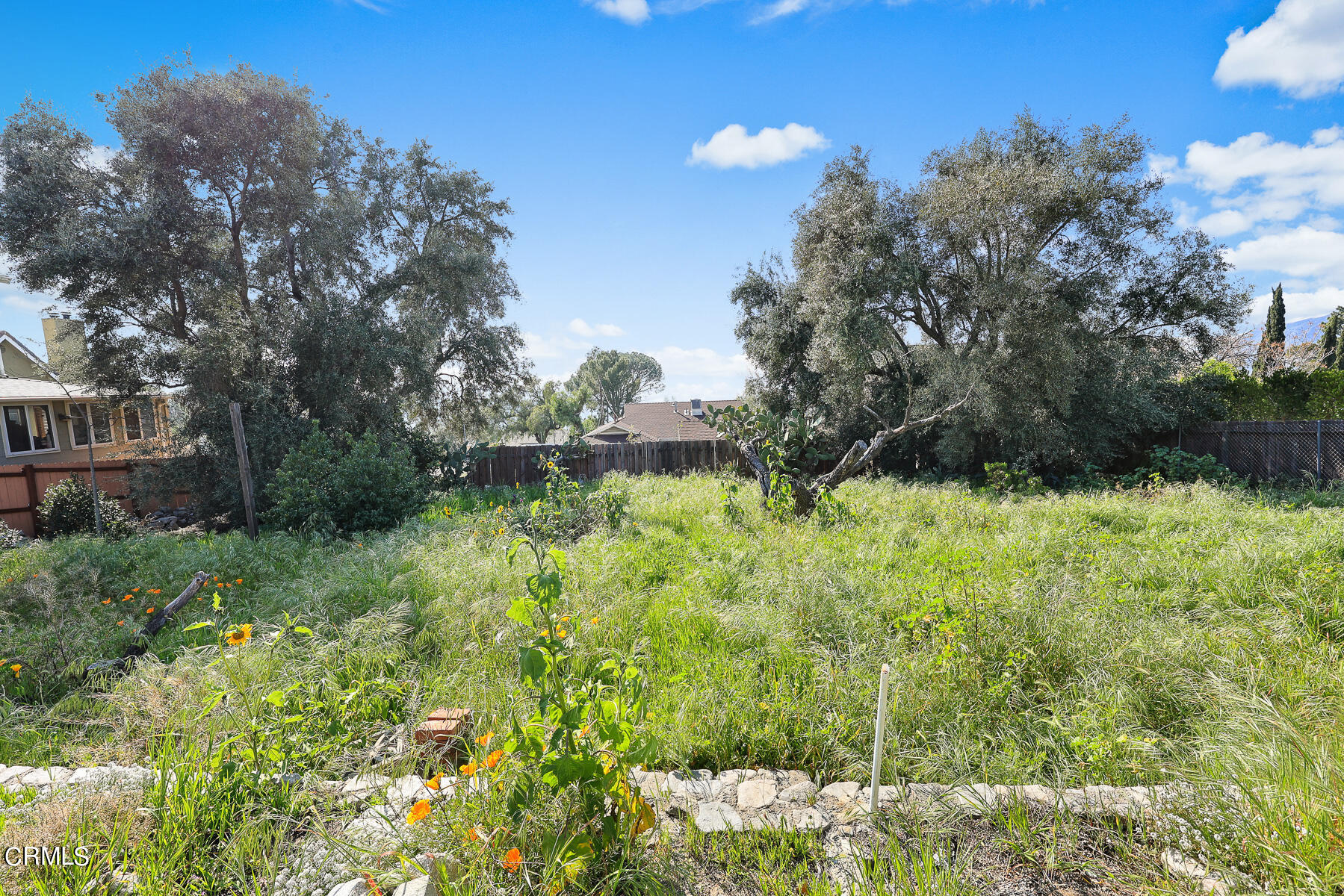 10425 Pinyon Avenue Tujunga, CA 91042 - Photo 5 of 6 a view of backyard with green space