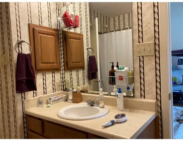 a bathroom with a sink vanity and a mirror