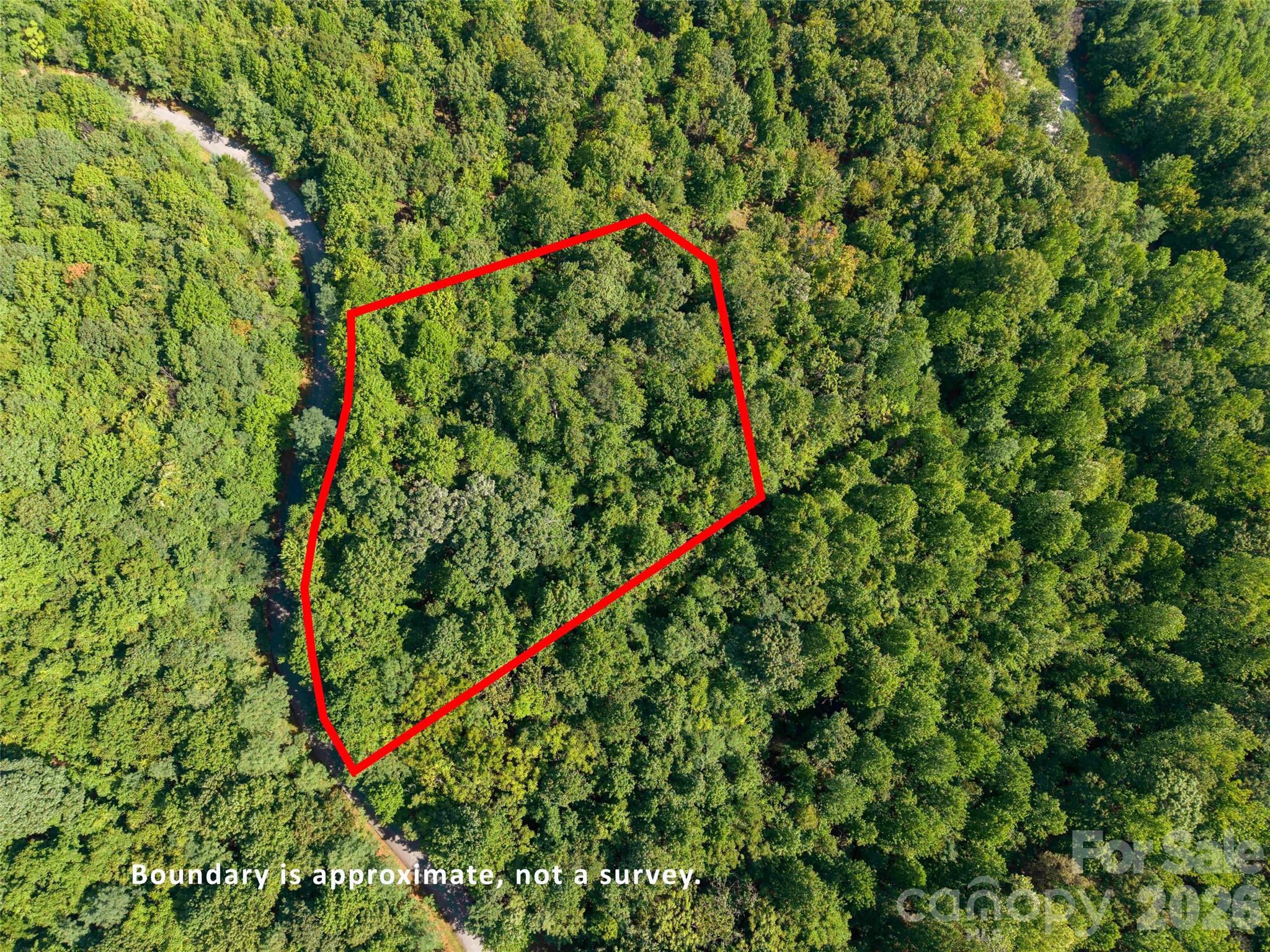 0 Cherry Hill Mill Spring, Unit 221 Mill Spring, NC 28756 - Photo 8 of 10 Gallery Image 8