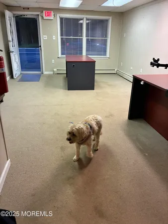a view of a livingroom with furniture and cabinet