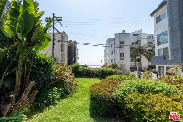 a view of backyard with a garden and plants