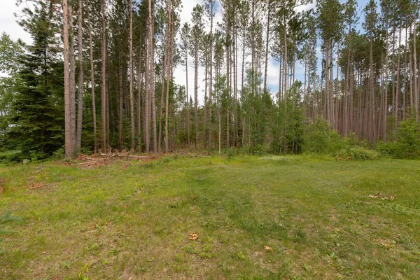 $400,000 | 3488 State 200 Street Northwest, Walker, MN 56484