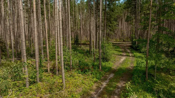 $400,000 | 3488 State 200 Street Northwest, Walker, MN 56484