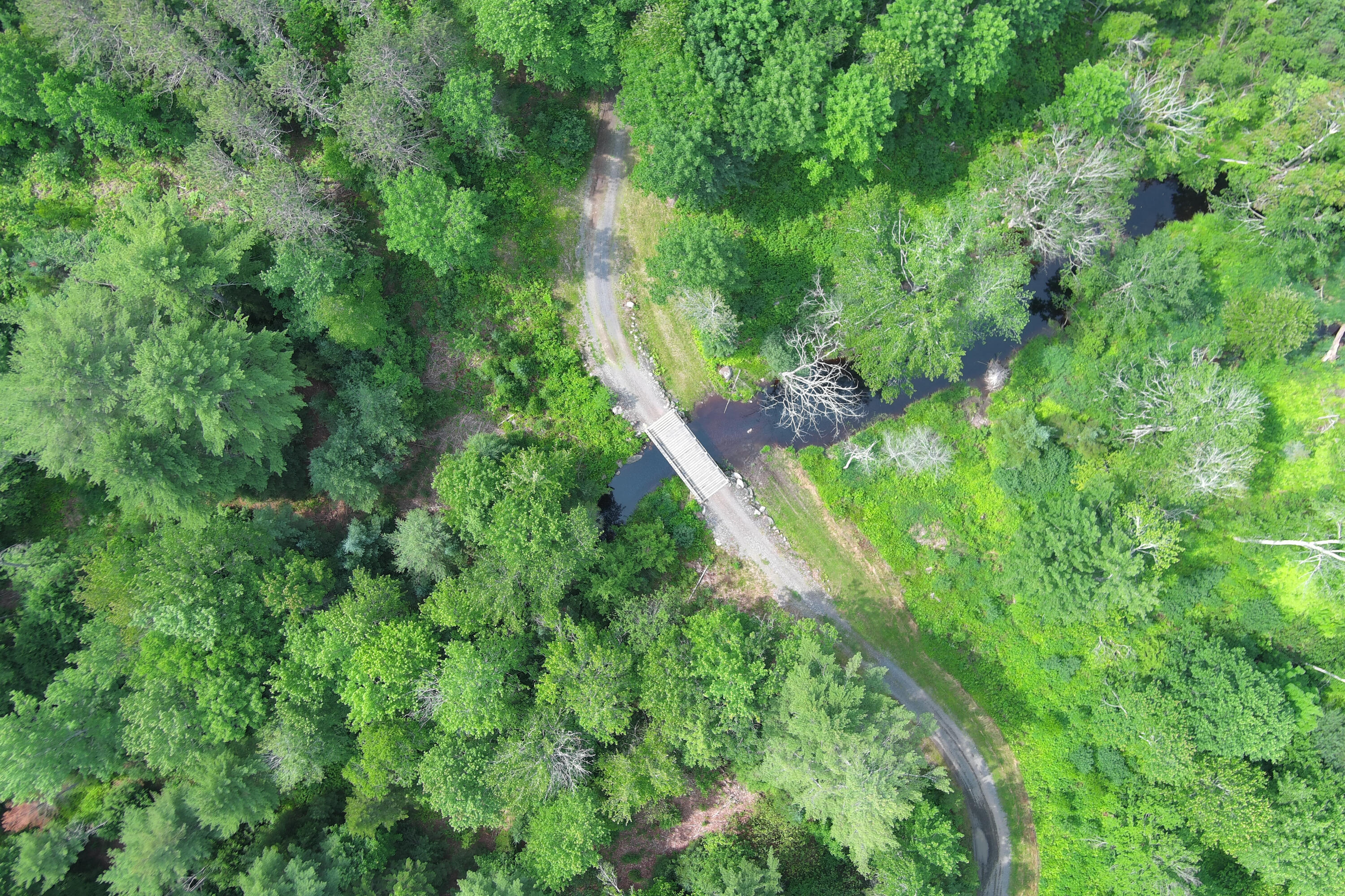 660 Sprague Road Waldoboro, ME 04572 - Photo 45 of 45 Access road