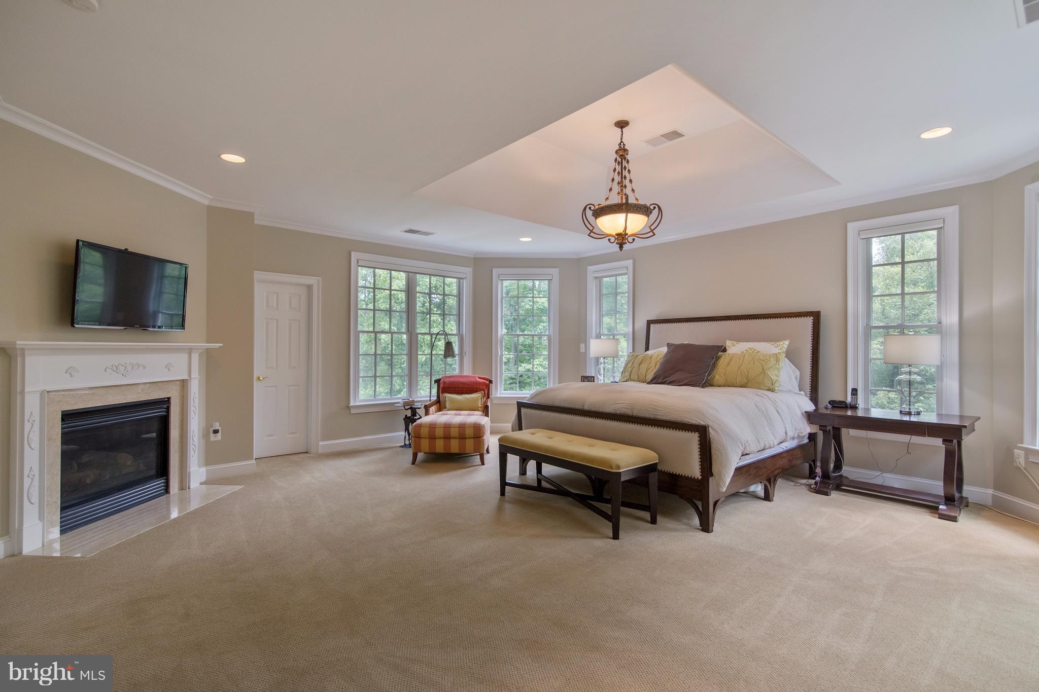 1141 Springvale Road Great Falls, VA 22066 - Photo 13 of 30 Master Bedrm w/ gas fireplace