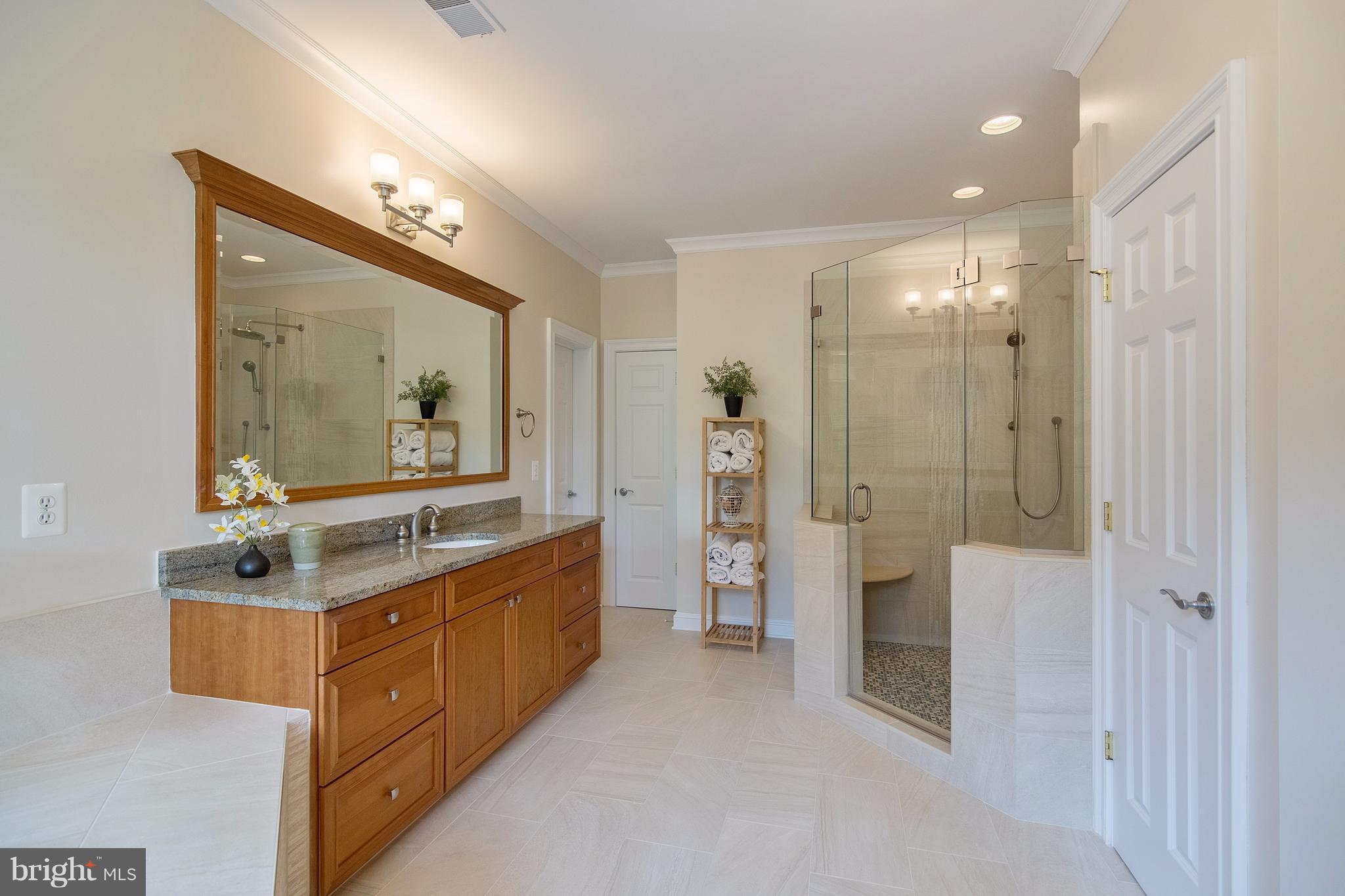 1141 Springvale Road Great Falls, VA 22066 - Photo 16 of 30 Glass Enclosed Shower