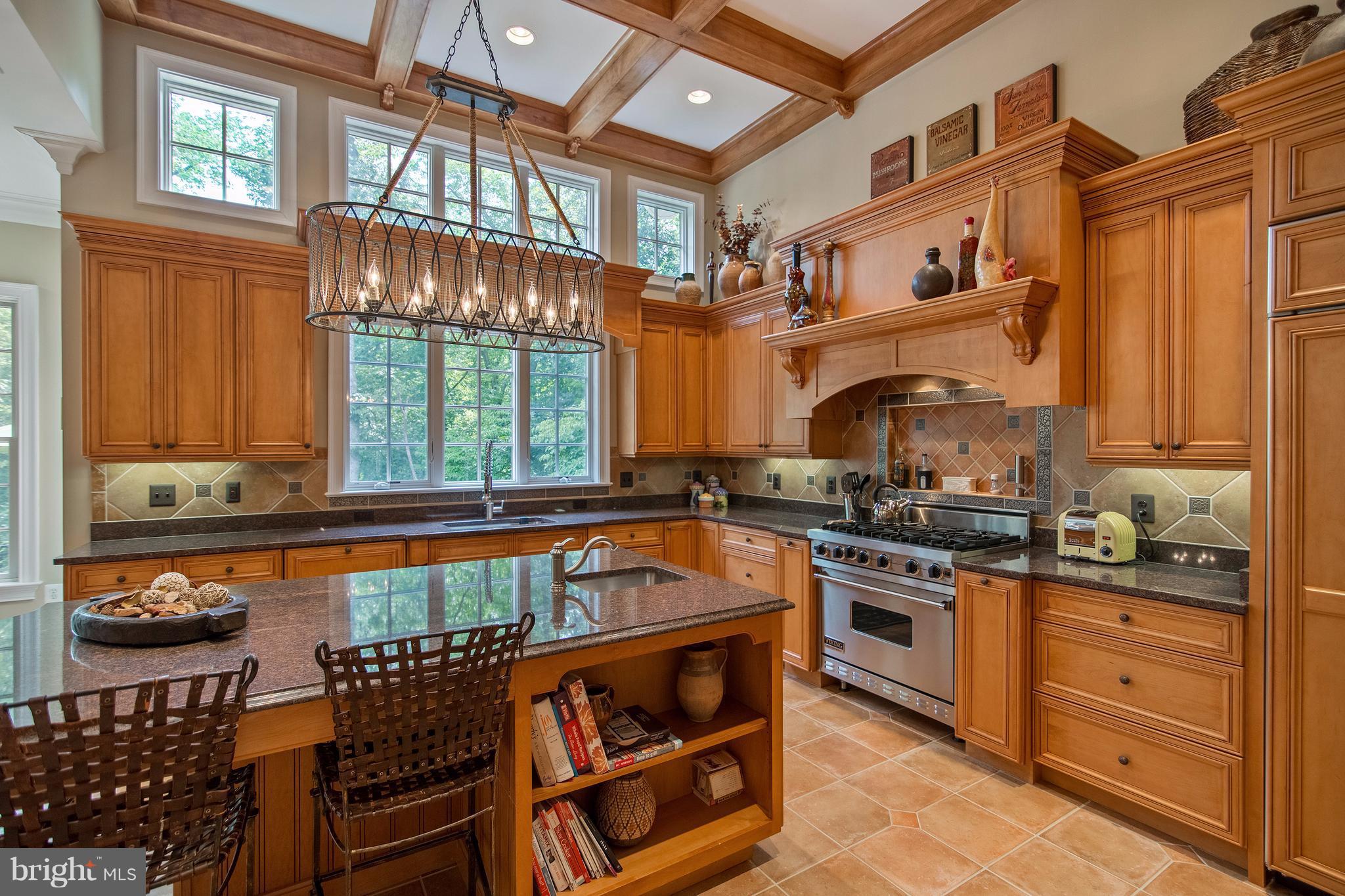 1141 Springvale Road Great Falls, VA 22066 - Photo 6 of 30 Chef's Kitchen w/ Professional Range