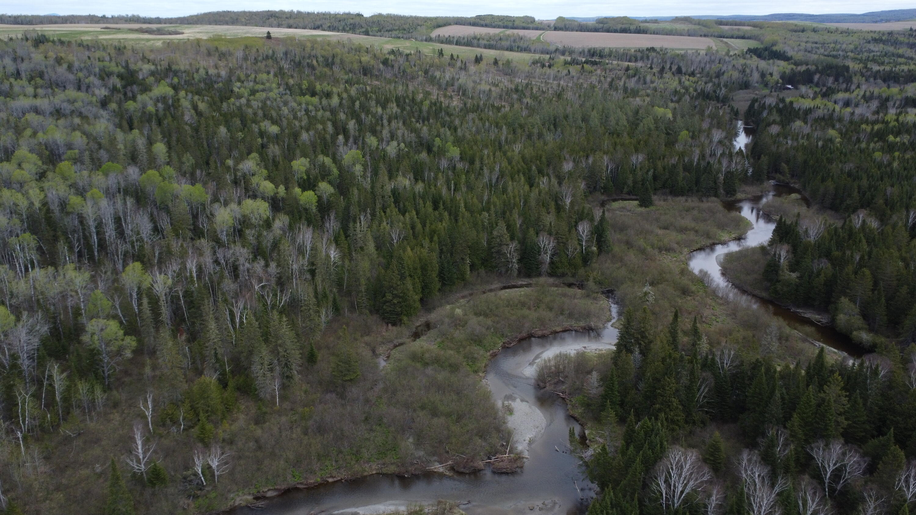 M5-l15 Alexander Road Van Buren, ME 04785 - Photo 5 of 18 dji_fly_20260521_100642_385_177937249031