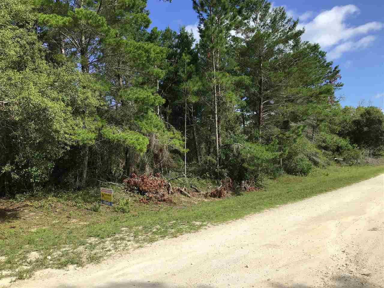 0 Live Oak Road Perry, FL 32348 - Photo 1 of 4 Gallery Image 1