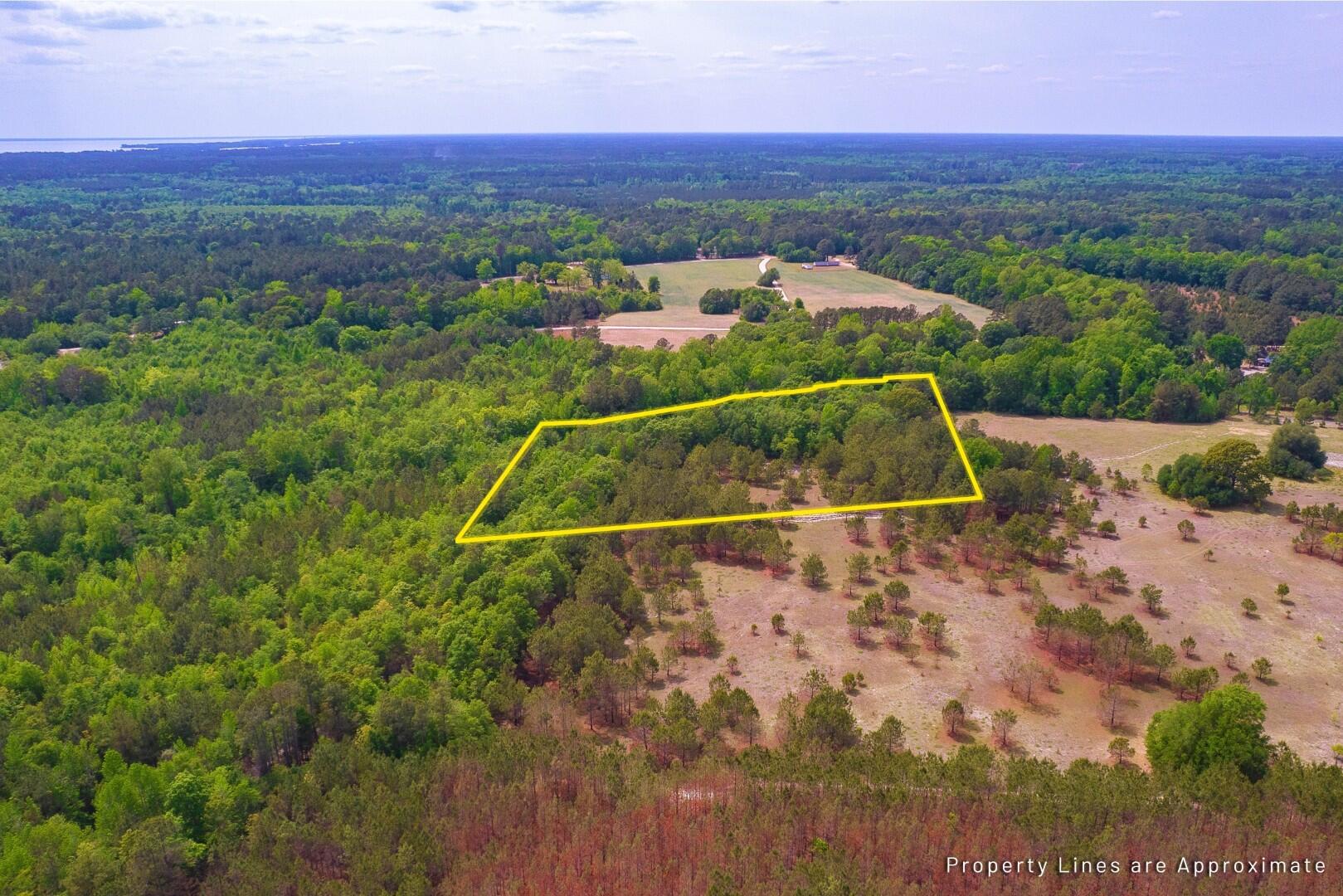 6 Pompey Road Manning, SC 29102 - Photo 2 of 65 2