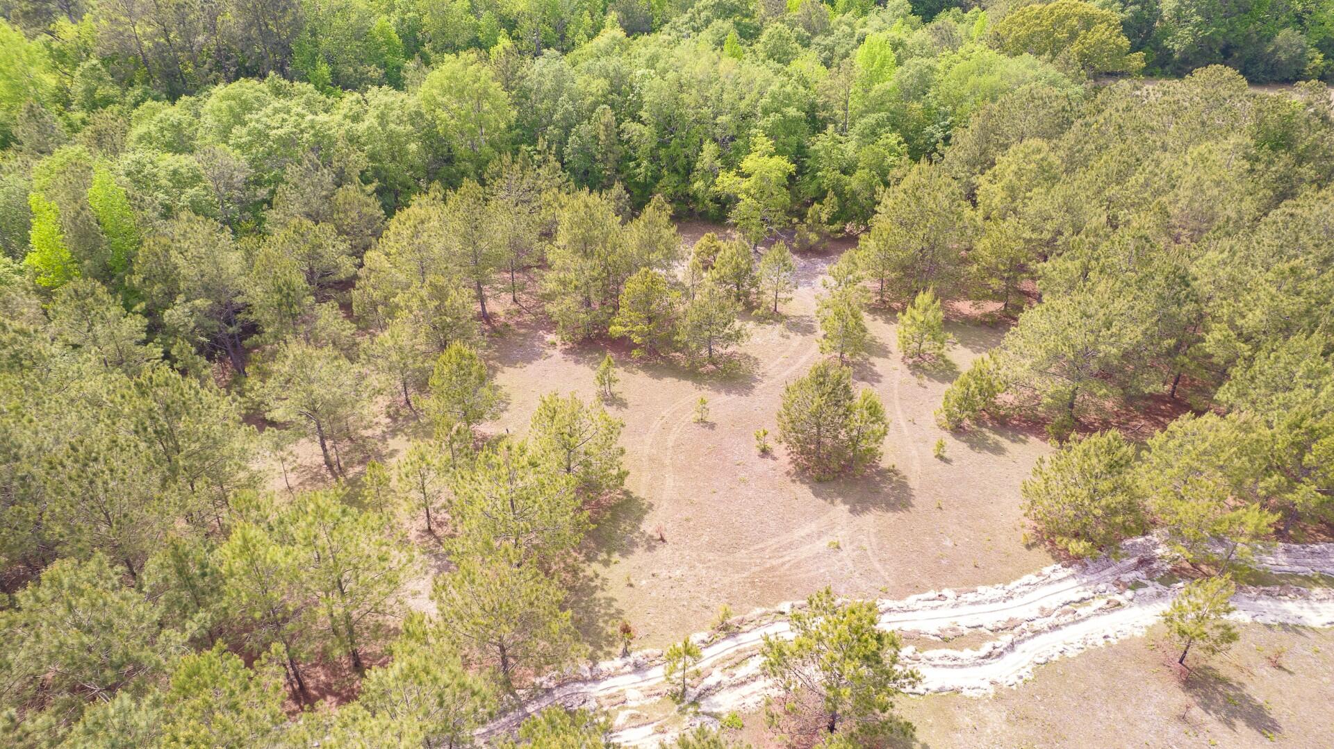6 Pompey Road Manning, SC 29102 - Photo 25 of 65 Pompey Rd-Prince-35