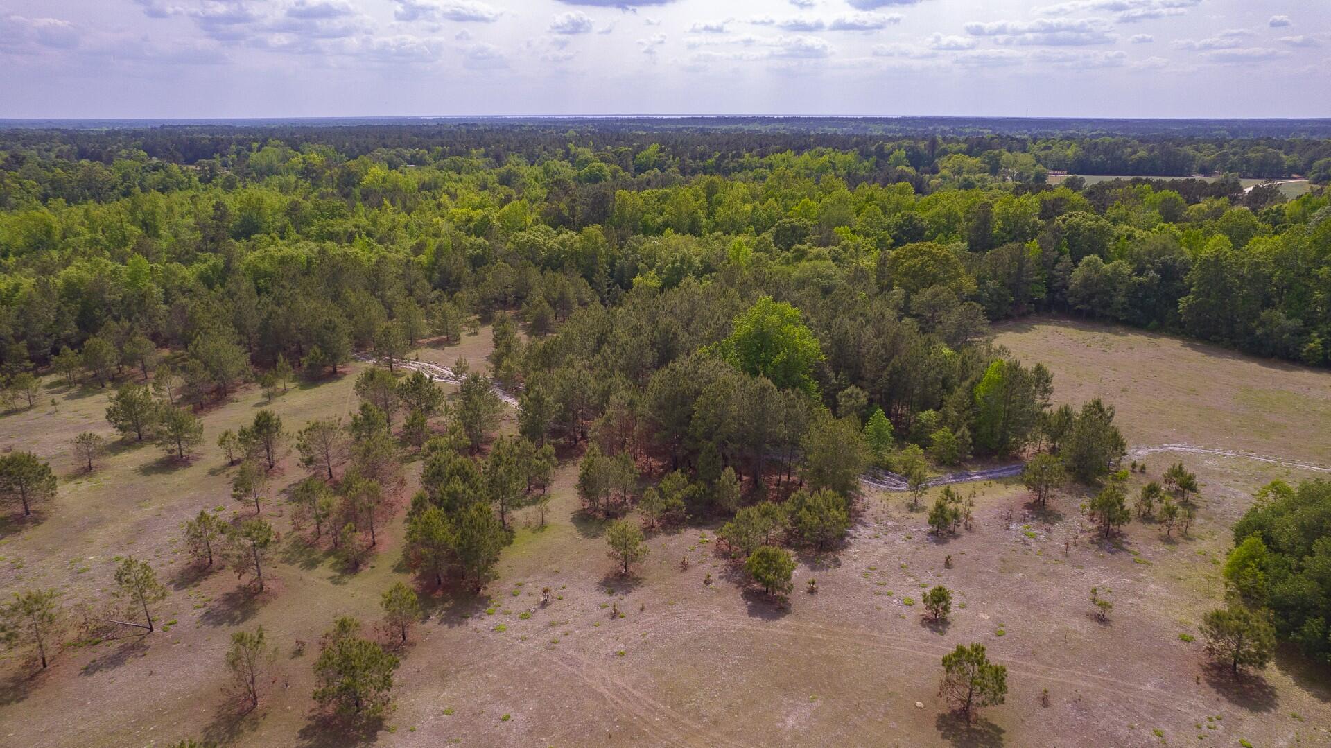 6 Pompey Road Manning, SC 29102 - Photo 26 of 65 Pompey Rd-Prince-39