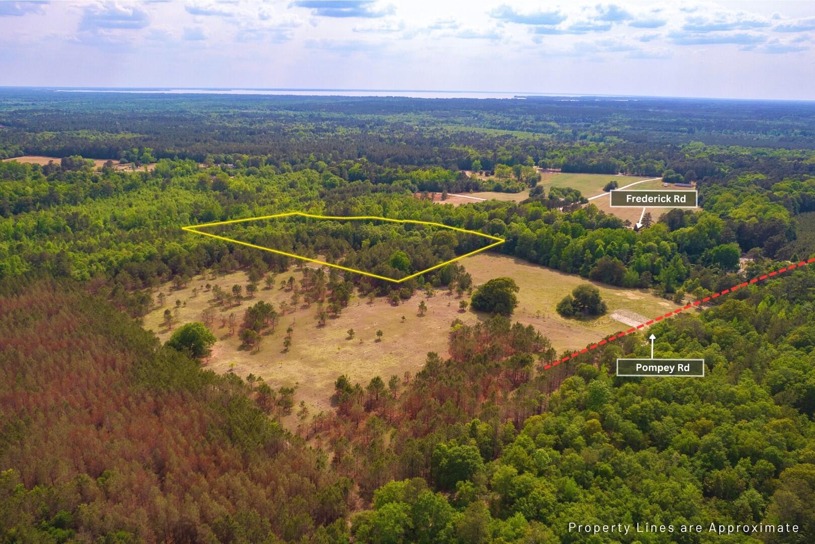 6 Pompey Road Manning, SC 29102 - Photo 3 of 65 4