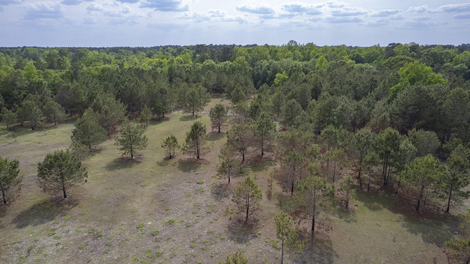 6 Pompey Road Manning, SC 29102 - Photo 34 of 65 Pompey Rd-Prince-48