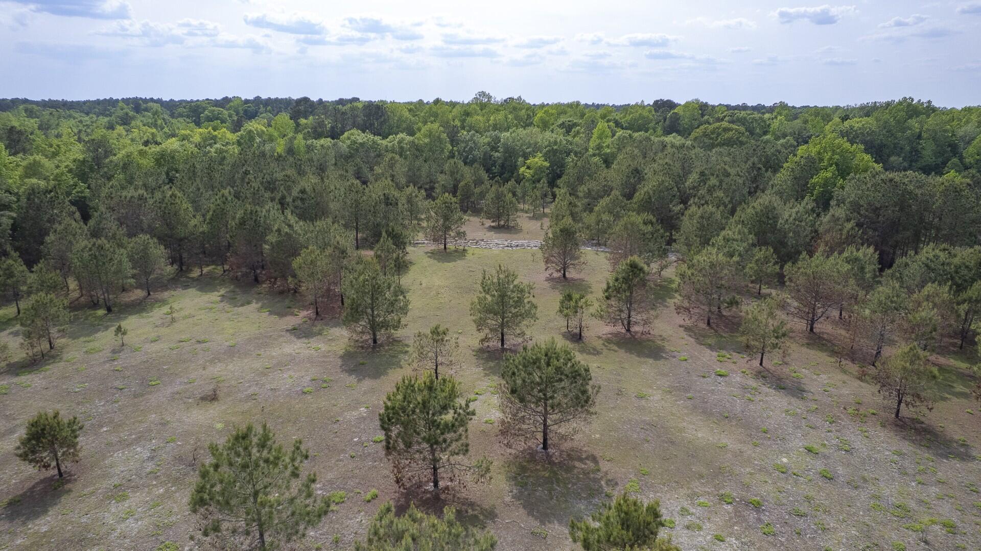 6 Pompey Road Manning, SC 29102 - Photo 35 of 65 Pompey Rd-Prince-49