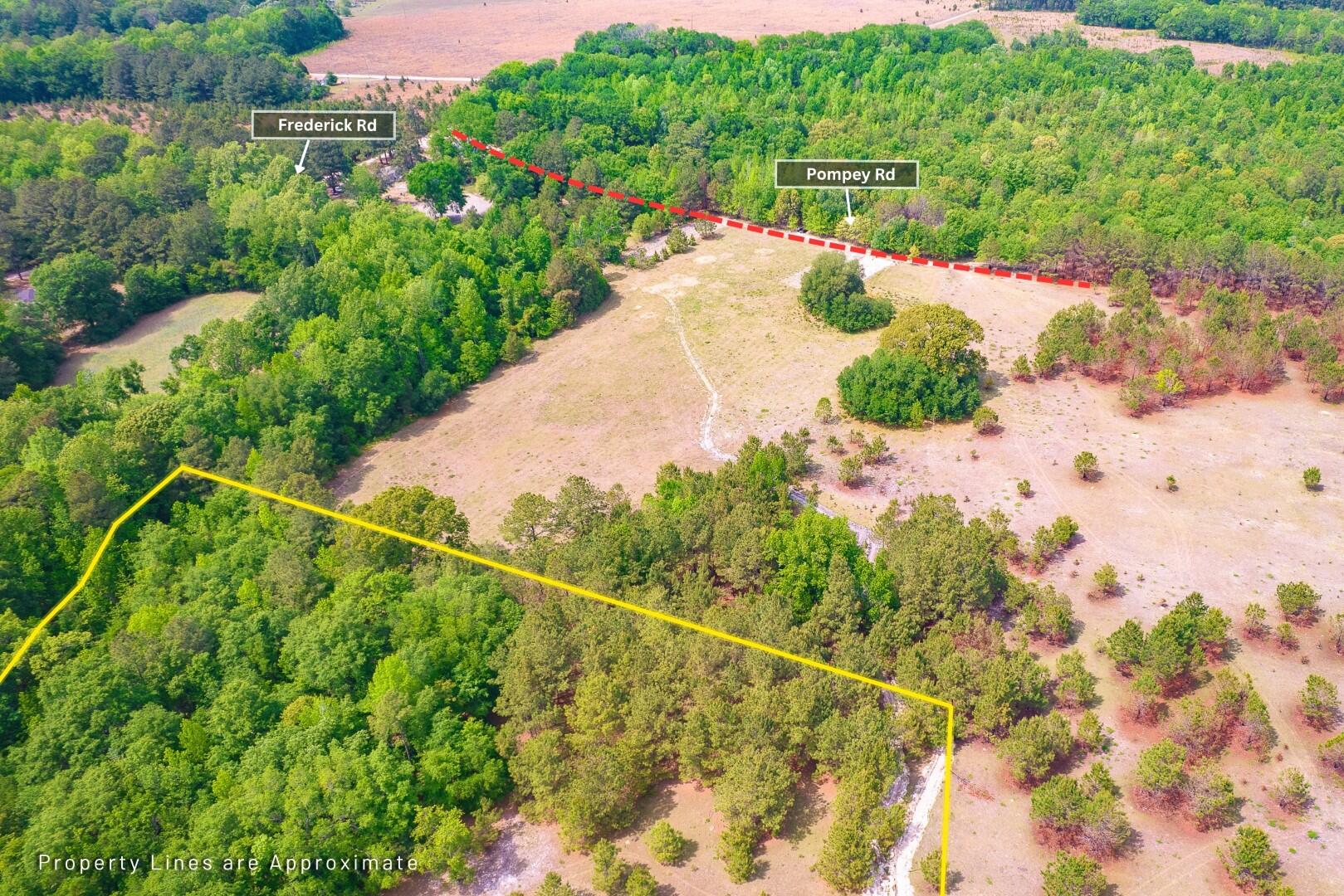 6 Pompey Road Manning, SC 29102 - Photo 5 of 65 6