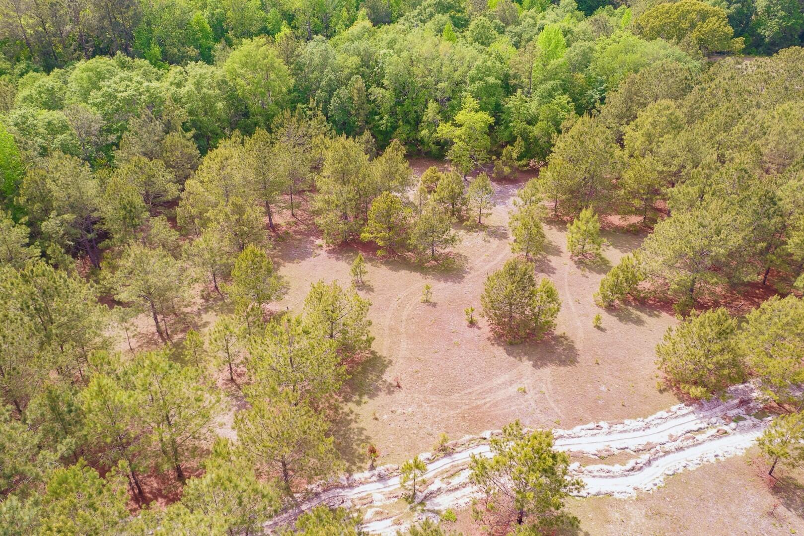 6 Pompey Road Manning, SC 29102 - Photo 6 of 65 8