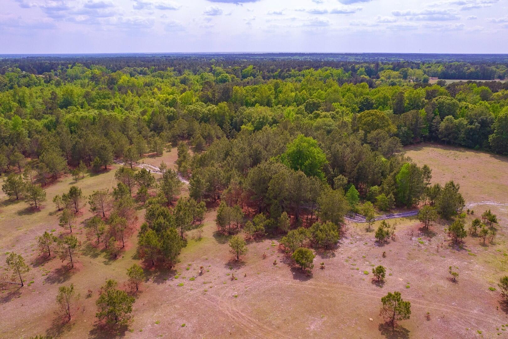 6 Pompey Road Manning, SC 29102 - Photo 7 of 65 9