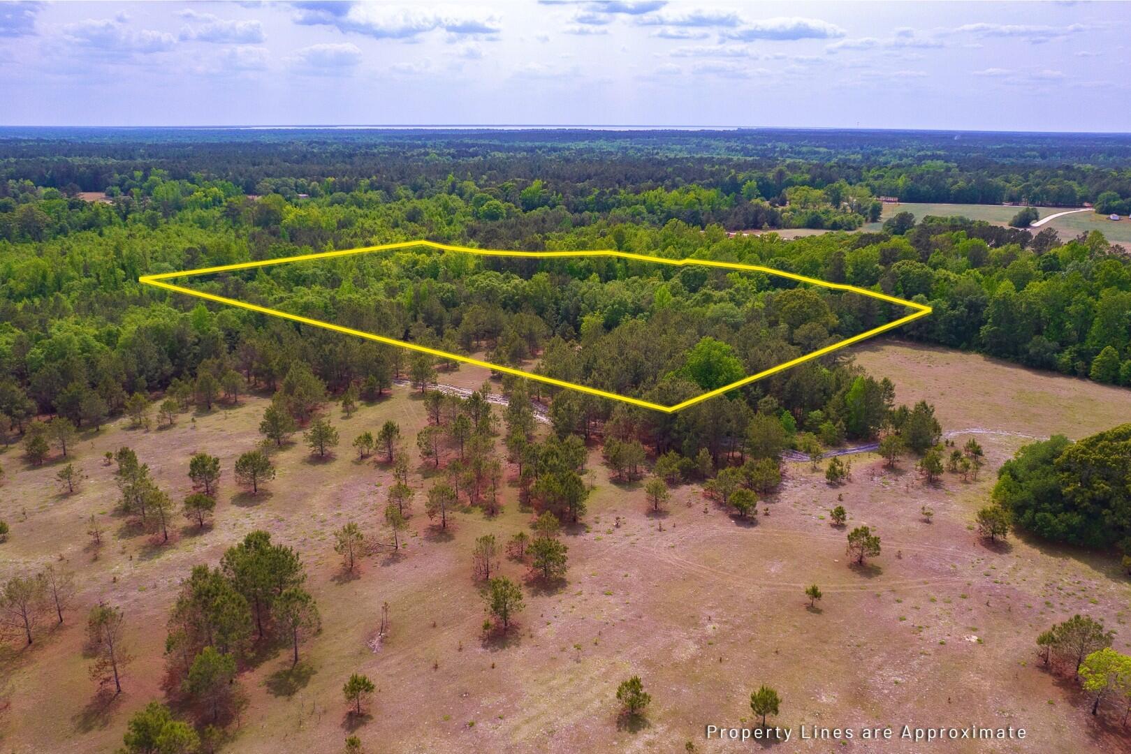 6 Pompey Road Manning, SC 29102 - Photo 9 of 65 5