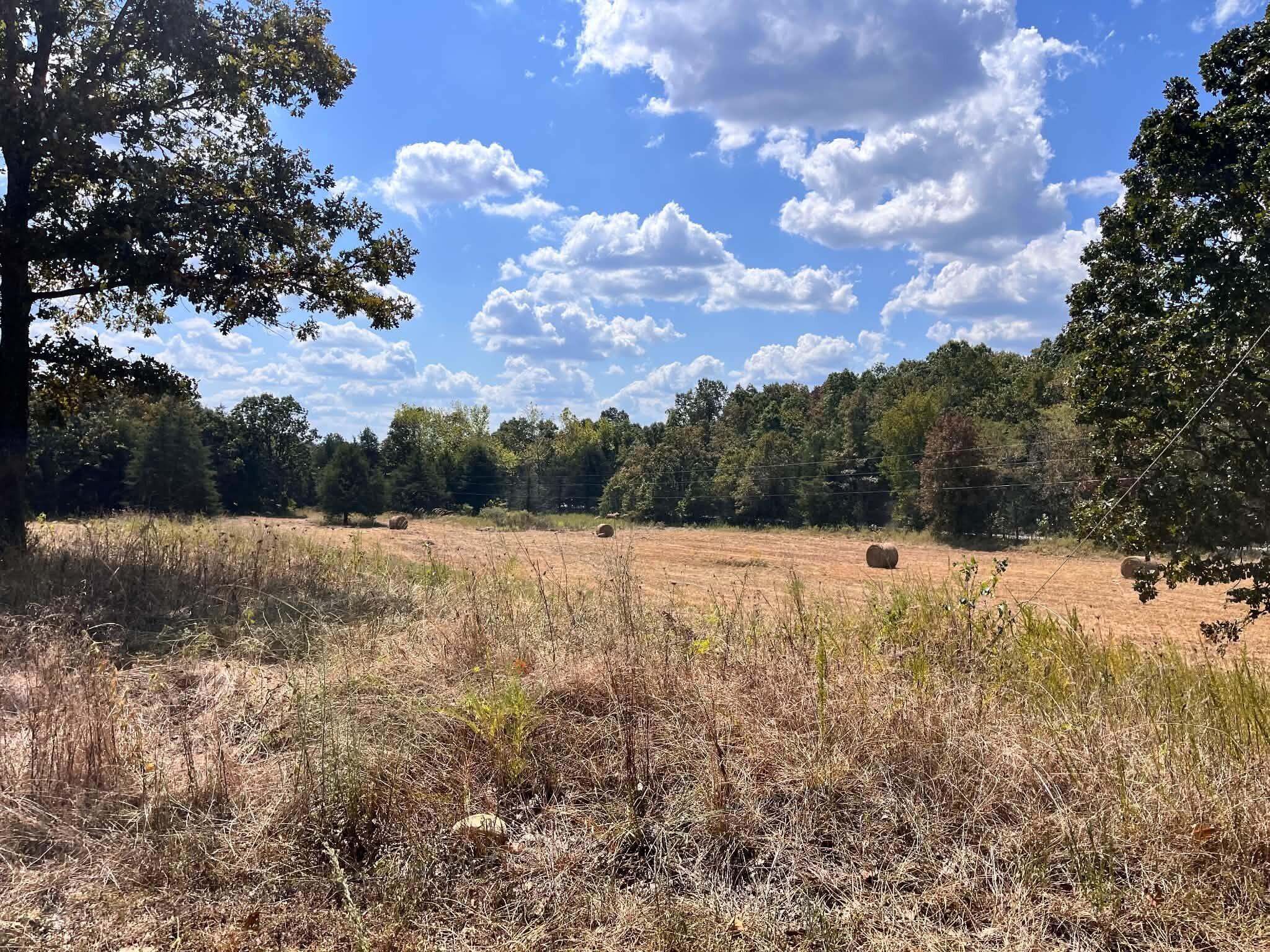 3065 North Camp Creek Road Mammoth Spring, AR 72554 - Photo 14 of 16 6115f976-fab0-4a88-9718-7f6ebca100e9