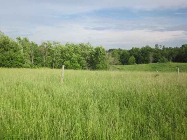 11751 Hastings Road Clarksville, MI 48815 - Photo 23 of 23 Additional Photo