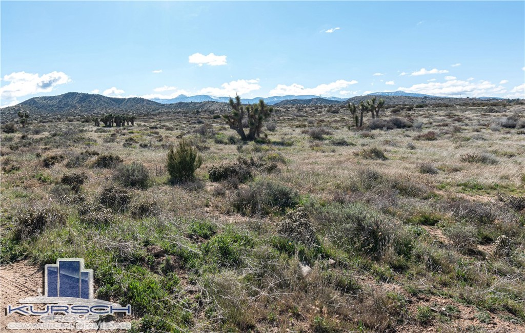 0 Cygnet Road Phelan, CA 92371 - Photo 4 of 4 a view of a dry yard with mountains in the background
