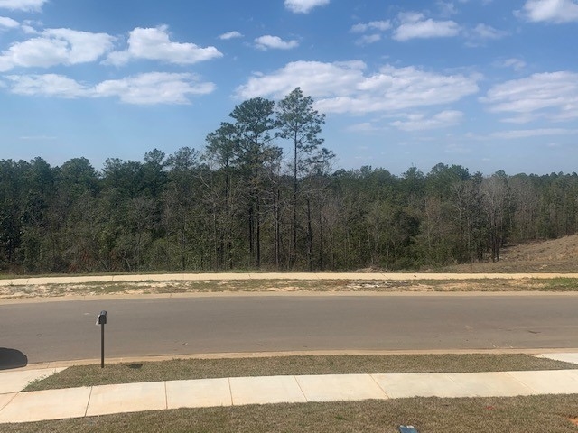 10475 Brodick Loop, Unit LOT 158 Daphne, AL 36527 - Photo 4 of 18 view from front porch