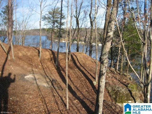 Taylors Ferry Road, Unit 6 Parrish, AL 35580 - Photo 1 of 3