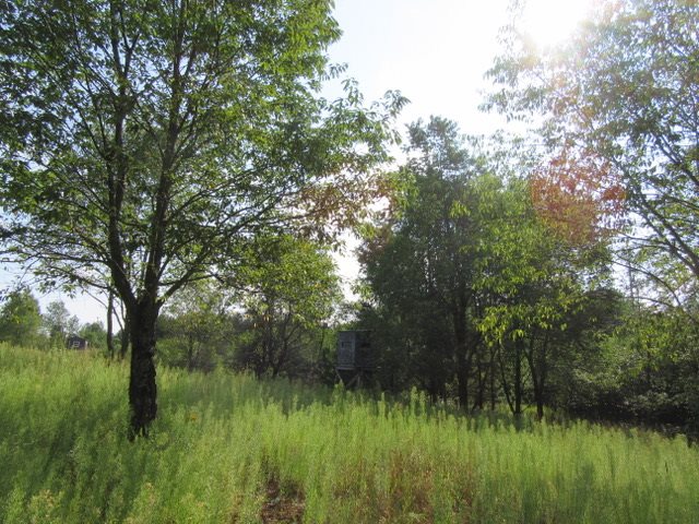 17602 Hibma Road Tustin, MI 49688 - Photo 74 of 94 1837120-73.JPG