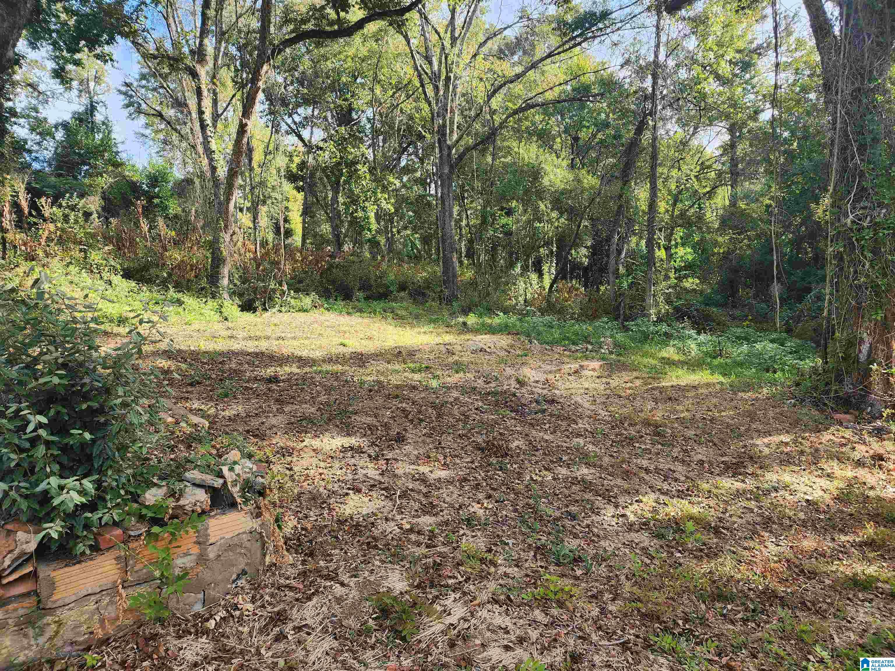 0 Highway 9 Goodwater, AL 35072 - Photo 5 of 24