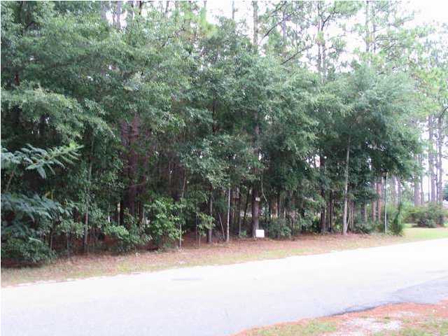 319 Sangaree Road Walterboro, SC 29488 - Photo 1 of 3 Primary Photo
