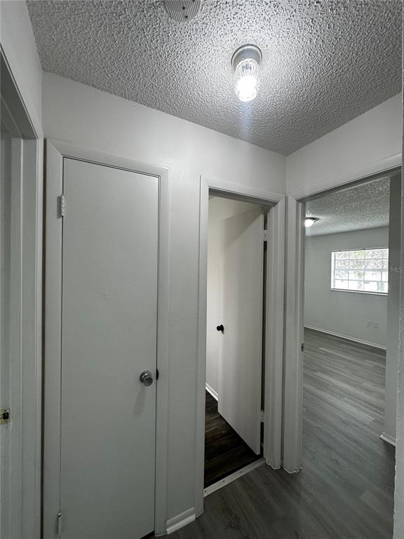 4616 North Goldenrod Road Winter Park, FL 32792 - Photo 10 of 15